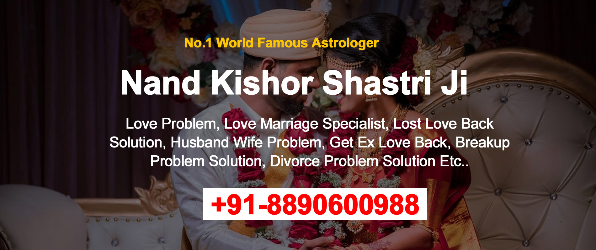 Famous Astrologer Nand Kishor Shastri +91-8890600988